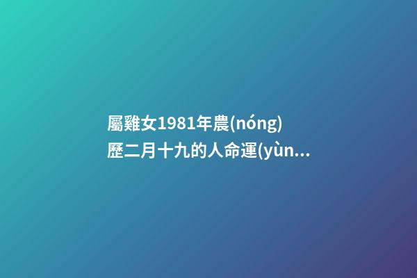 屬雞女1981年農(nóng)歷二月十九的人命運(yùn)如何 1981年陰歷2月19日辰時(shí)生人的命運(yùn)-第1張-觀(guān)點(diǎn)-玄機(jī)派